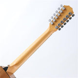 Taylor_150ce_(12-string)_06