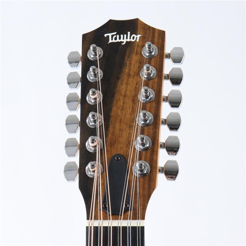 Taylor_150ce_(12-string)_07
