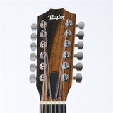 Taylor_150ce_(12-string)_07