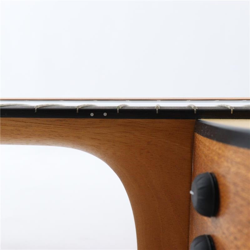Taylor_150ce_(12-string)_09