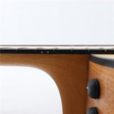 Taylor_150ce_(12-string)_09