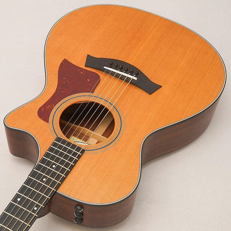USED_​​312ce_Japan_LTD2017_Taylor_05