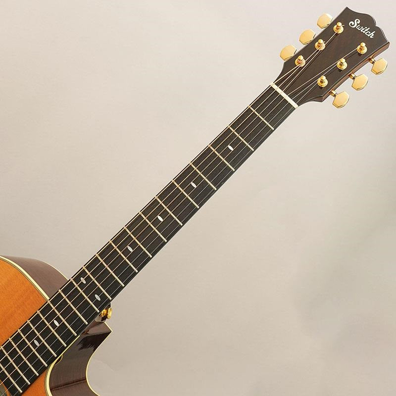 USED_​​D-70C_Switch_08