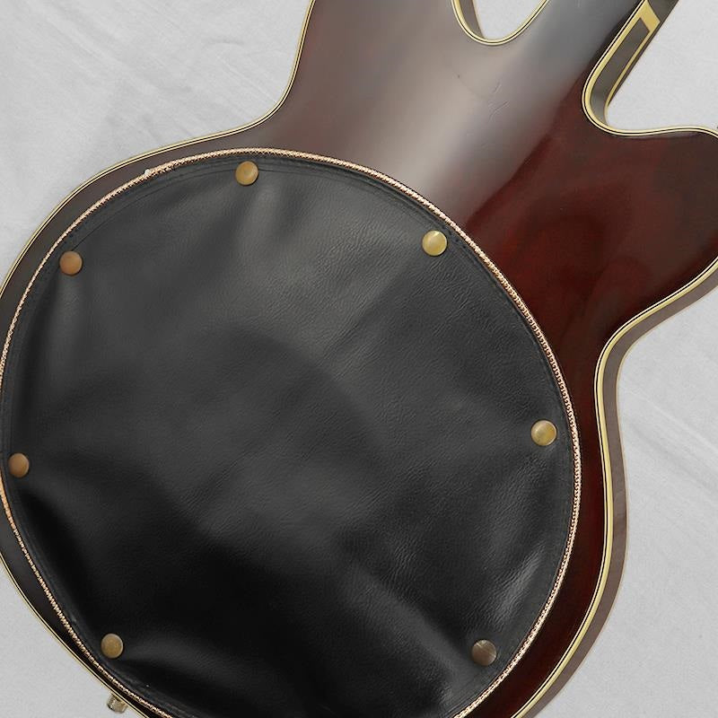VINTAGE_6122_Chet_Atkins_Country_Gentleman_'67_04