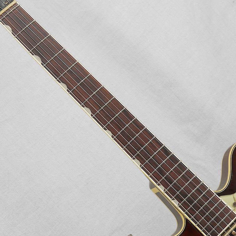 VINTAGE_6122_Chet_Atkins_Country_Gentleman_'67_09