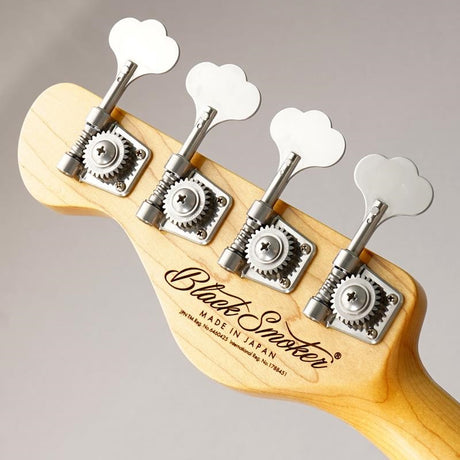 Trad_Master_Series_Beta_J4_(Inca_Silver_Light_Aged)_08