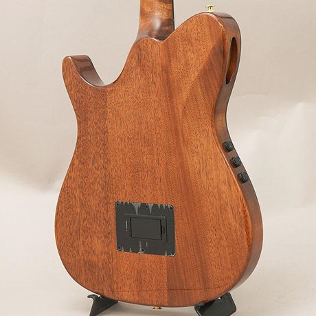 TOD100N-NT_Ibanez_02