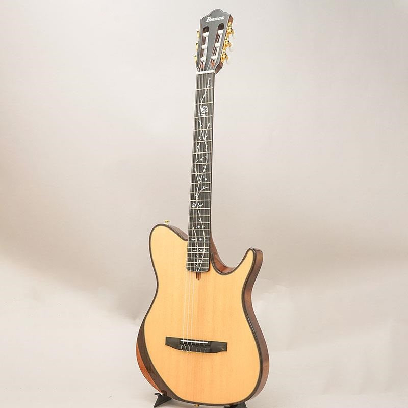 TOD100N-NT_Ibanez_03