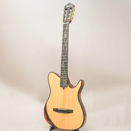 TOD100N-NT_Ibanez_03