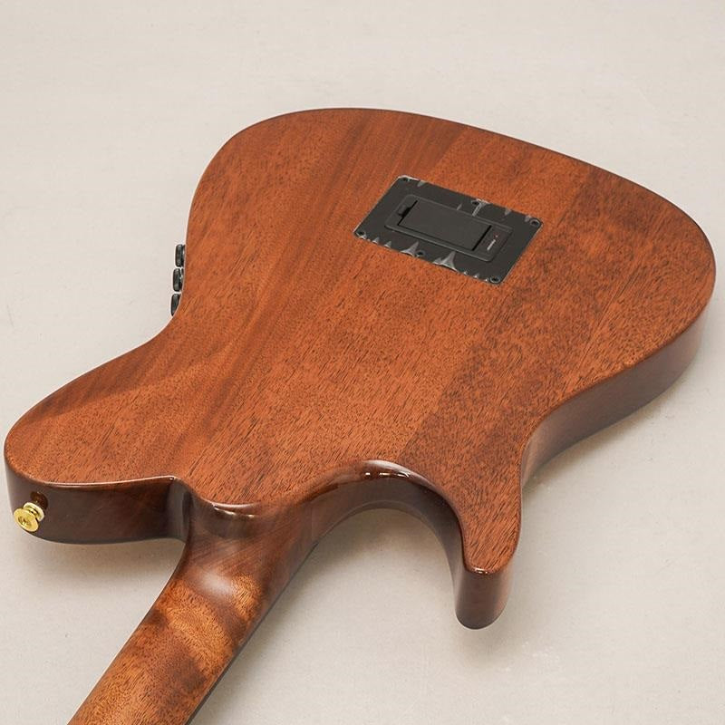 TOD100N-NT_Ibanez_06