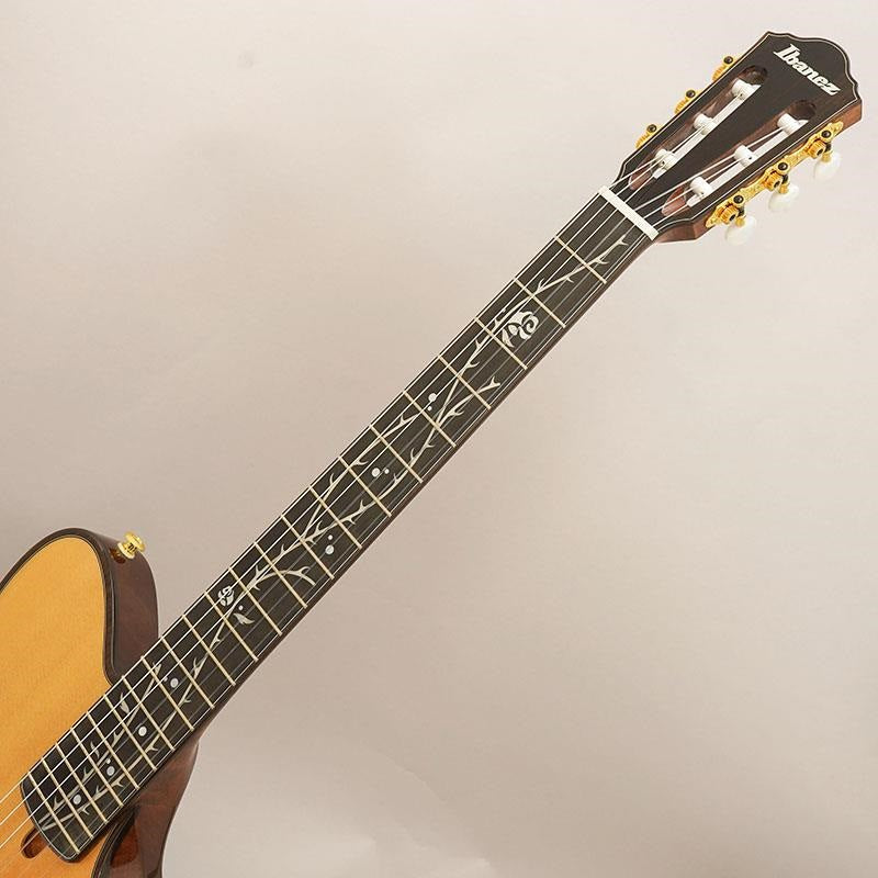 TOD100N-NT_Ibanez_08