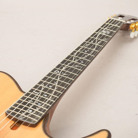 TOD100N-NT_Ibanez_10