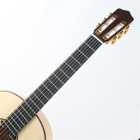[Special_price]_Orpheus_Valley_Rosa_Blanca_Flamenca_05