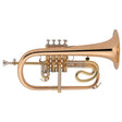 Antoine_Courtois___PROFESSIONAL_AC156R-1-0_[Bb_Flugelhorn]_[Pre-shipment_adjustment_for_peace_of_mind]_01