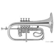 Antoine_Courtois___PROFESSIONAL_AC156NR-2-0_[Bb_Flugelhorn]_[Pre-shipment_adjustment_for_peace_of_mind]_01