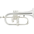 Antoine_Courtois___REFERENCE_AC159R-2-0_[Bb_Flugelhorn]_[Pre-shipment_adjustment_for_peace_of_mind]_01