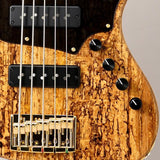 Urbanite_Series_Beta_J5_XL_SV_BS_(Spalted_Oak_Top_Gold_Hardware)_09