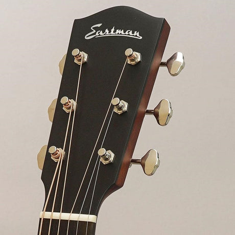 E1-SS-DLX-SB_Eastman_11