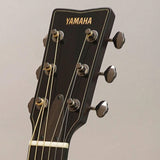 USED_​​Yamaha_FG9R_11