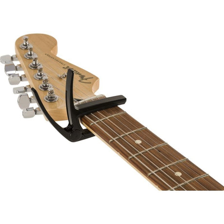 LAUREL_ELECTRIC_CAPO_05
