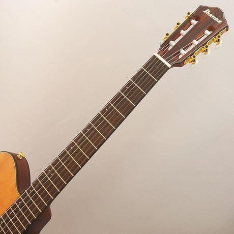 Ibanez_FRH10N-NTF_09