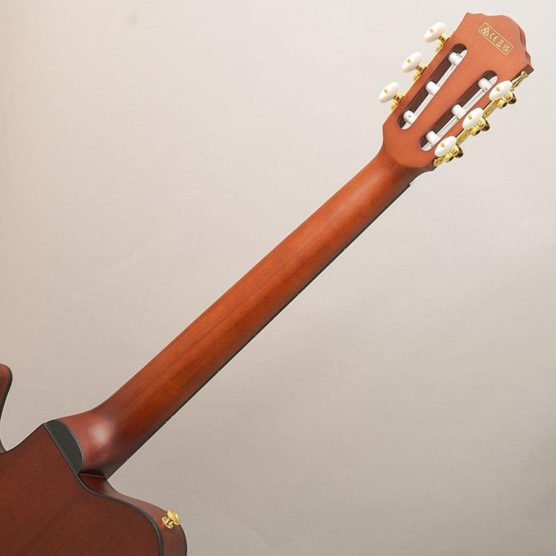 Ibanez_FRH10N-NTF_10