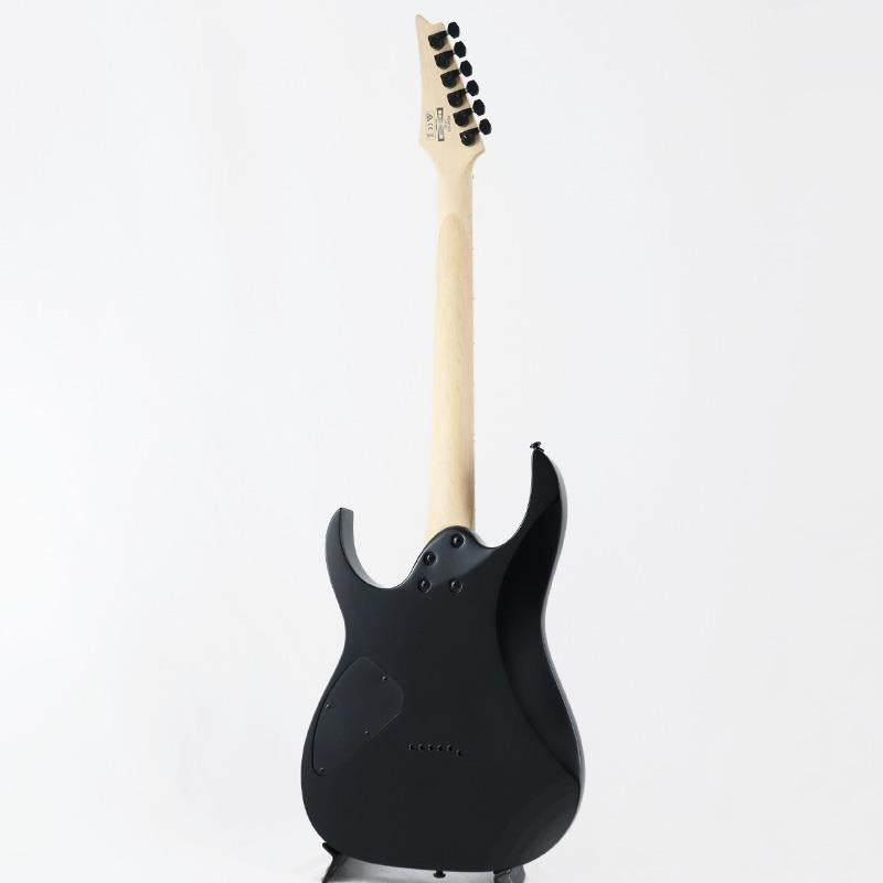 USED_​​RG421EX_BKF_(Black_Flat)_[SN_201100285]_Ibanez_03