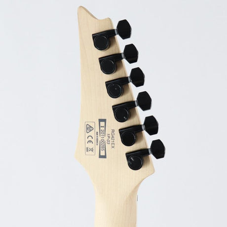 USED_​​RG421EX_BKF_(Black_Flat)_[SN_201100285]_Ibanez_06