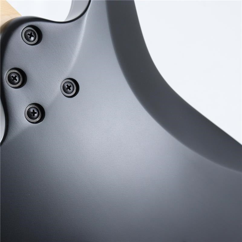 USED_​​RG421EX_BKF_(Black_Flat)_[SN_201100285]_Ibanez_09