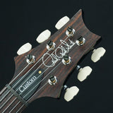 USED_​​Custom_24-08_10_Top_[SN_25_0407069]_Paul_Reed_Smith_07