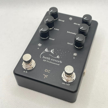 USED_​​Beth_Reverb_01