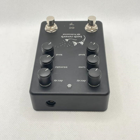 USED_​​Beth_Reverb_05