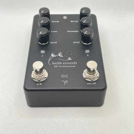 USED_​​Beth_Reverb_06