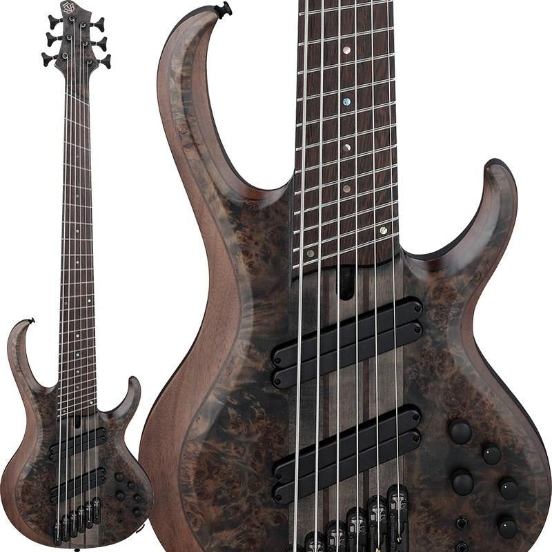 Bass_Workshop_BTB806MS-TGF_[SPOT_MODEL]_[Special_Price]_01