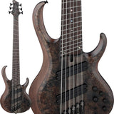 Bass_Workshop_BTB806MS-TGF_[SPOT_MODEL]_[Special_Price]_01