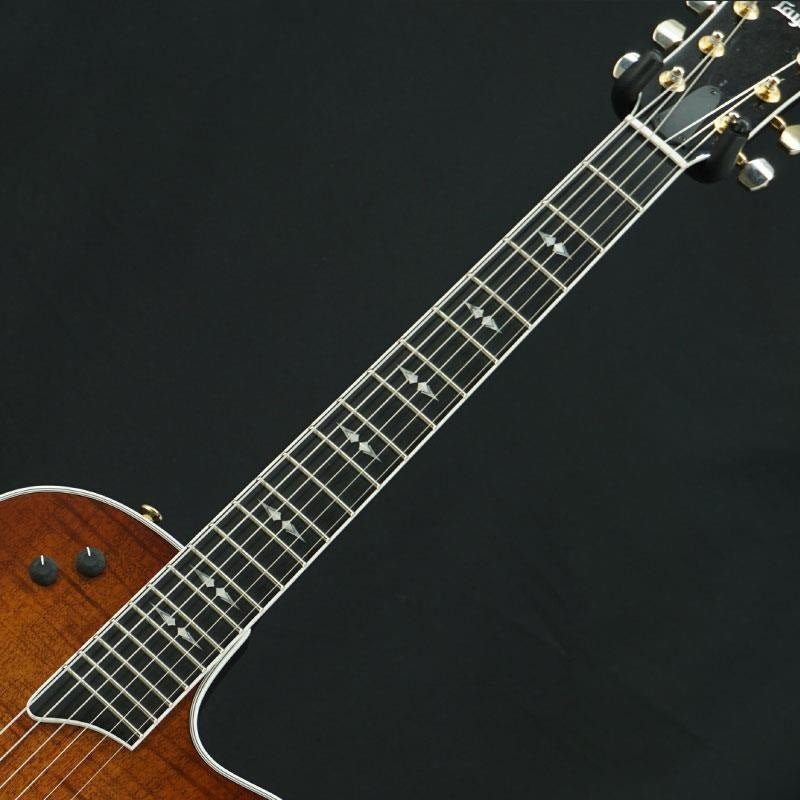 Used_Taylor_T5z_Custom_Koa_13_[SN_1110313157]_05
