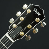 Used_Taylor_T5z_Custom_Koa_13_[SN_1110313157]_07