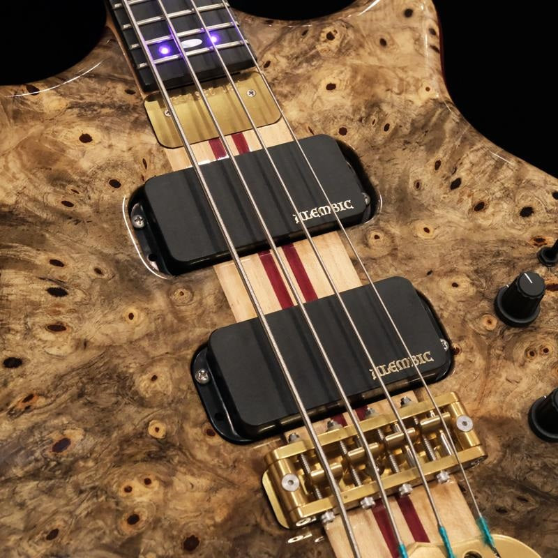 USED_​​SCSB4___Stanley_Clark_Deluxe_(Buckeye_Burl_Top_&_5A_Quilted_Maple_Back)_w_Front_LEDs_Violet_'17_04