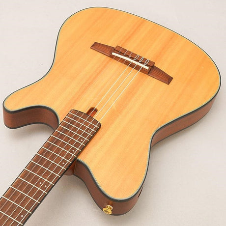 USED_​​FRH10N_Ibanez_05