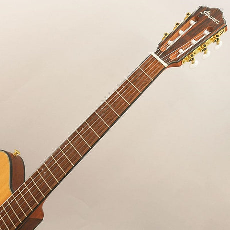 USED_​​FRH10N_Ibanez_09