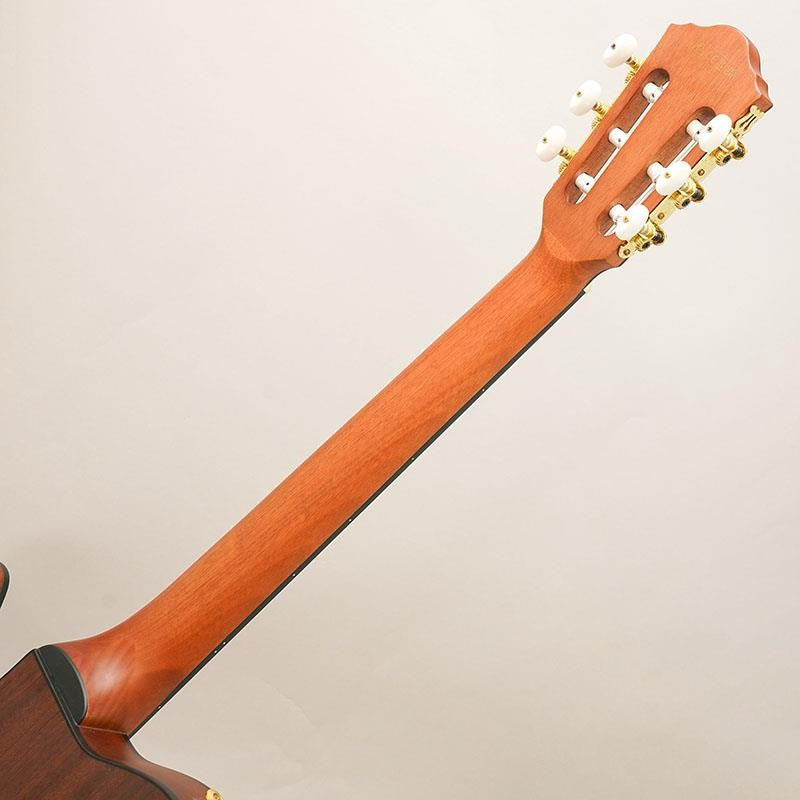 USED_​​FRH10N_Ibanez_10