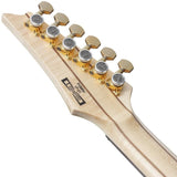 PGM50-BK_[Paul_Gilbert_Signature_Model]_【Special_Price】_06