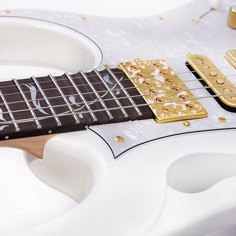 PIA3761-SLW_[Paradise_in_Steve_Vai_new_signature_model]_【Special_Price】_10