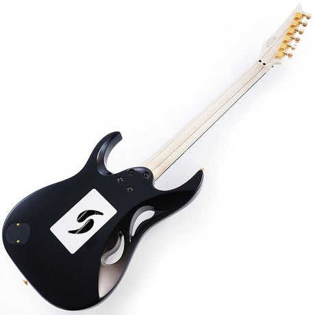 PIA3761-XB_[Paradise_in_Art_Steve_Vai_new_signature_model]_[Special_price]_03