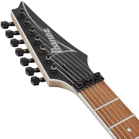 RG7420EX-BKF_(Black_Flat)_[SPOT_MODEL]_【Special_Price】_05