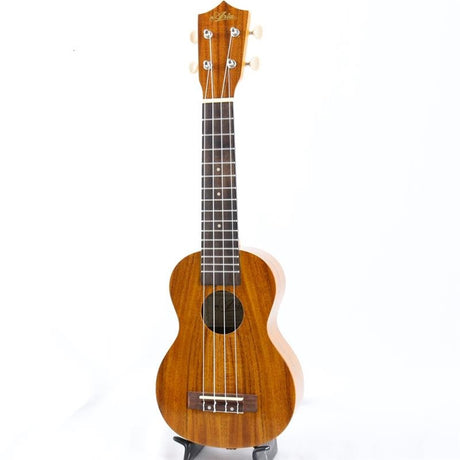 USED_​​AU-1KG_Aria_03