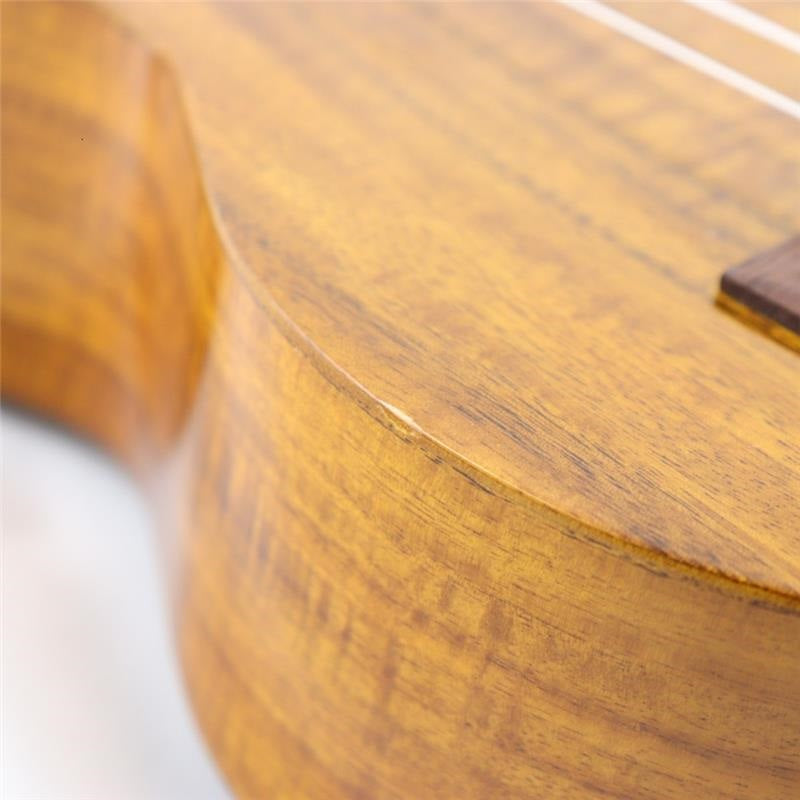 USED_​​AU-1KG_Aria_11