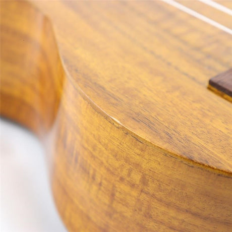 USED_​​AU-1KG_Aria_11