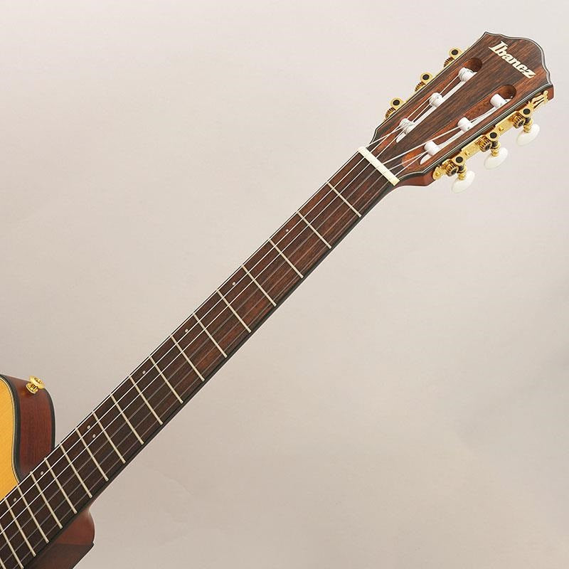 USED_​​FRH10N-NTF_(Junk_Item)_Ibanez_09