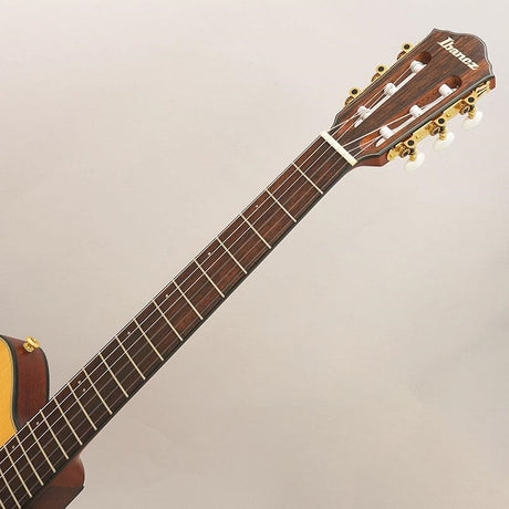 USED_​​FRH10N-NTF_(Junk_Item)_Ibanez_09